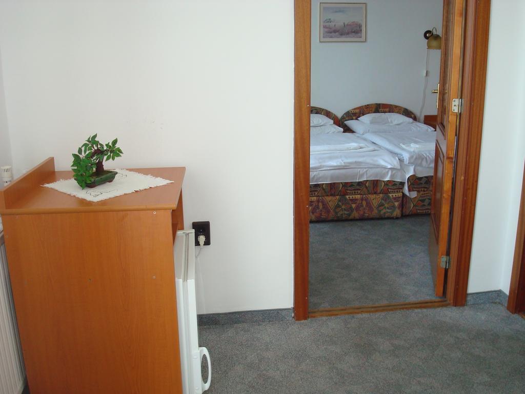 Hotel Termal Tiszaújváros Pokoj fotografie