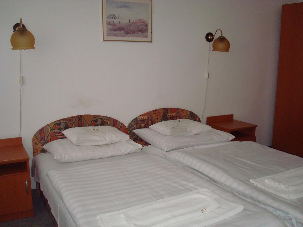 Hotel Termal Tiszaújváros Pokoj fotografie